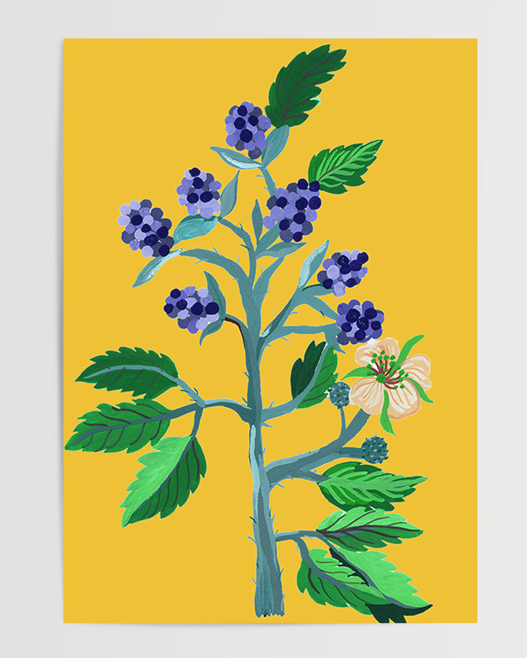 Decorative Art Print from Little Berries Studio with a botanical illustration of blue berries and green foliage on a bright yellow background.