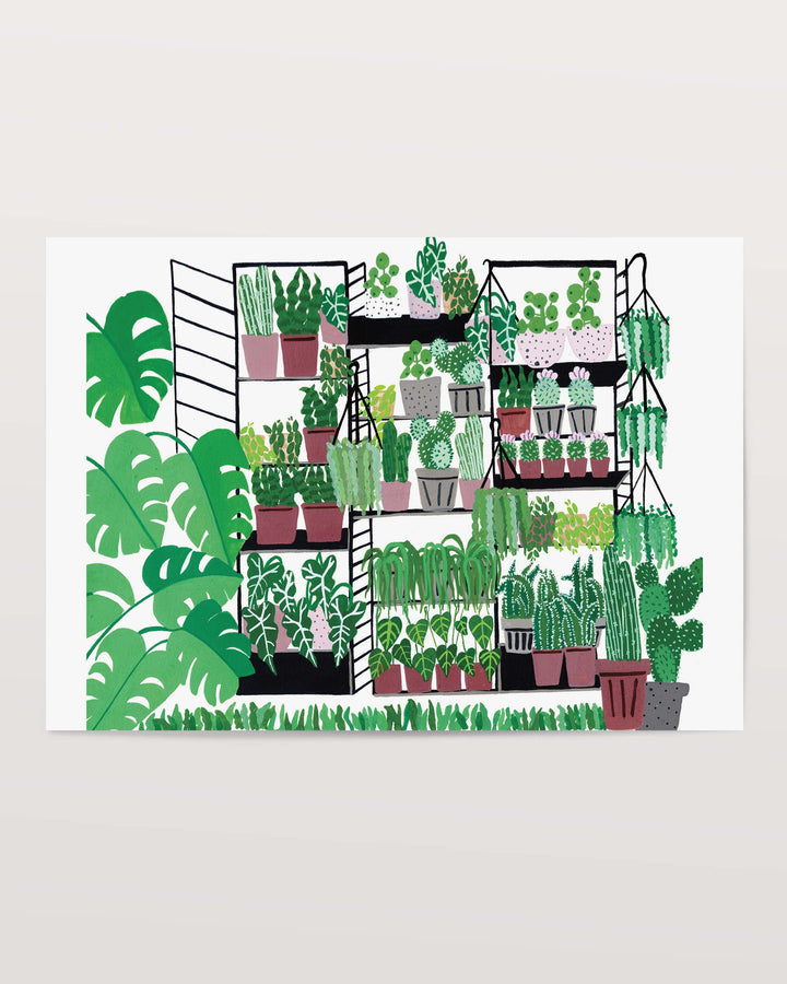 An illustration of a variety of potted plants arranged on black metal shelves. The plants range from tall cacti to leafy tropical plants, with lush greenery filling the scene. Large monstera leaves frame the left side of the image, adding a vibrant, fresh touch to the overall composition.