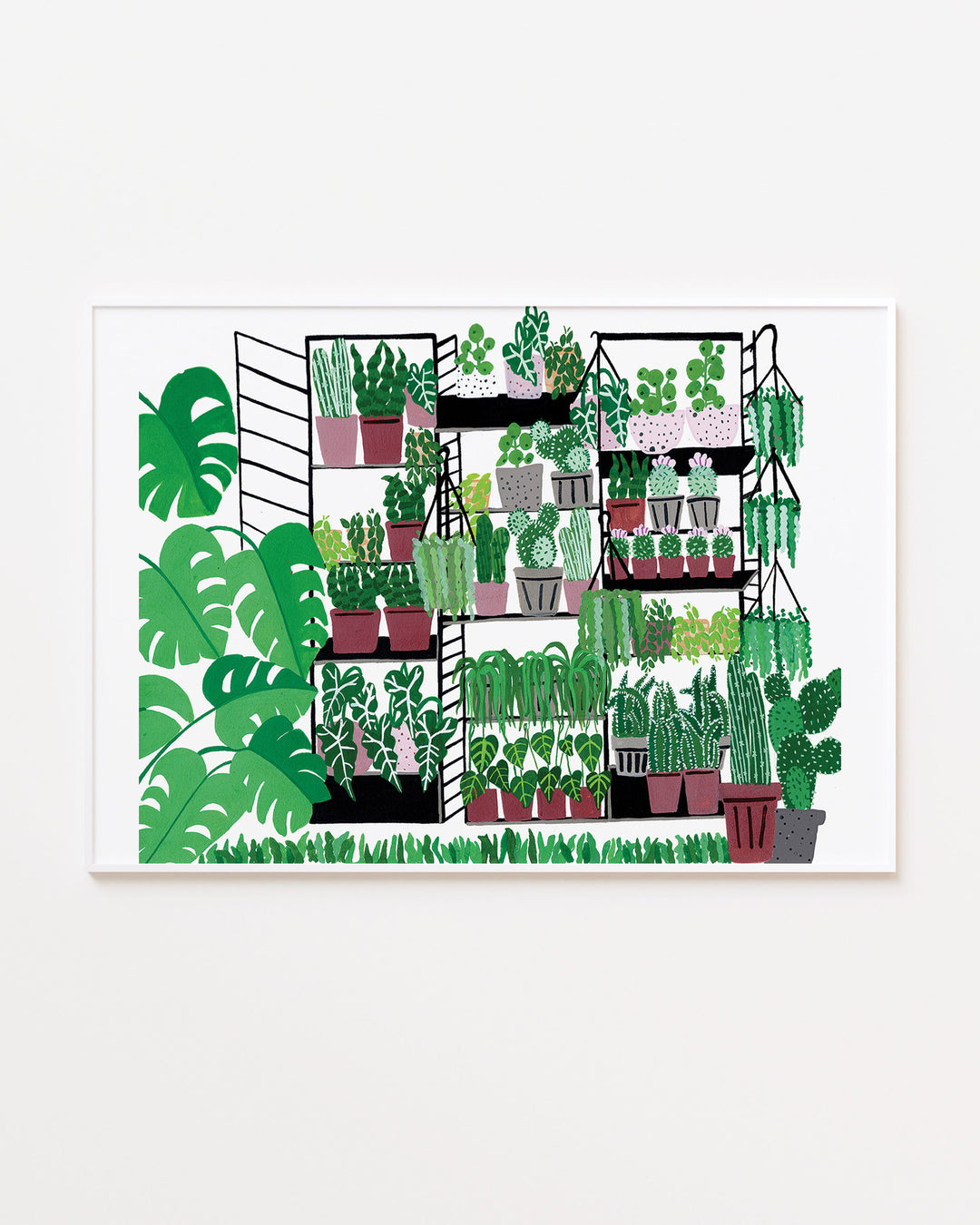 White Framed Art Print of a variety of potted plants arranged on black metal shelves. The plants range from tall cacti to leafy tropical plants, with lush greenery filling the scene. Large monstera leaves frame the left side of the image, adding a vibrant, fresh touch to the overall composition.