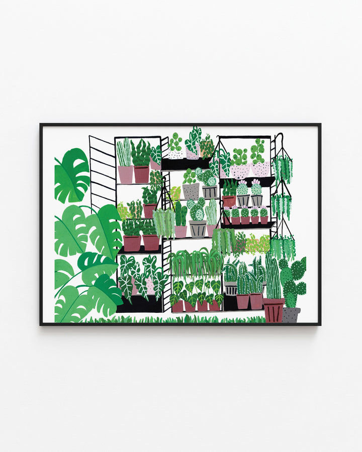 Black Framed Art Print of a variety of potted plants arranged on black metal shelves. The plants range from tall cacti to leafy tropical plants, with lush greenery filling the scene. Large monstera leaves frame the left side of the image, adding a vibrant, fresh touch to the overall composition.