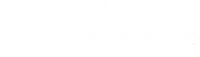 Little Berries Studio